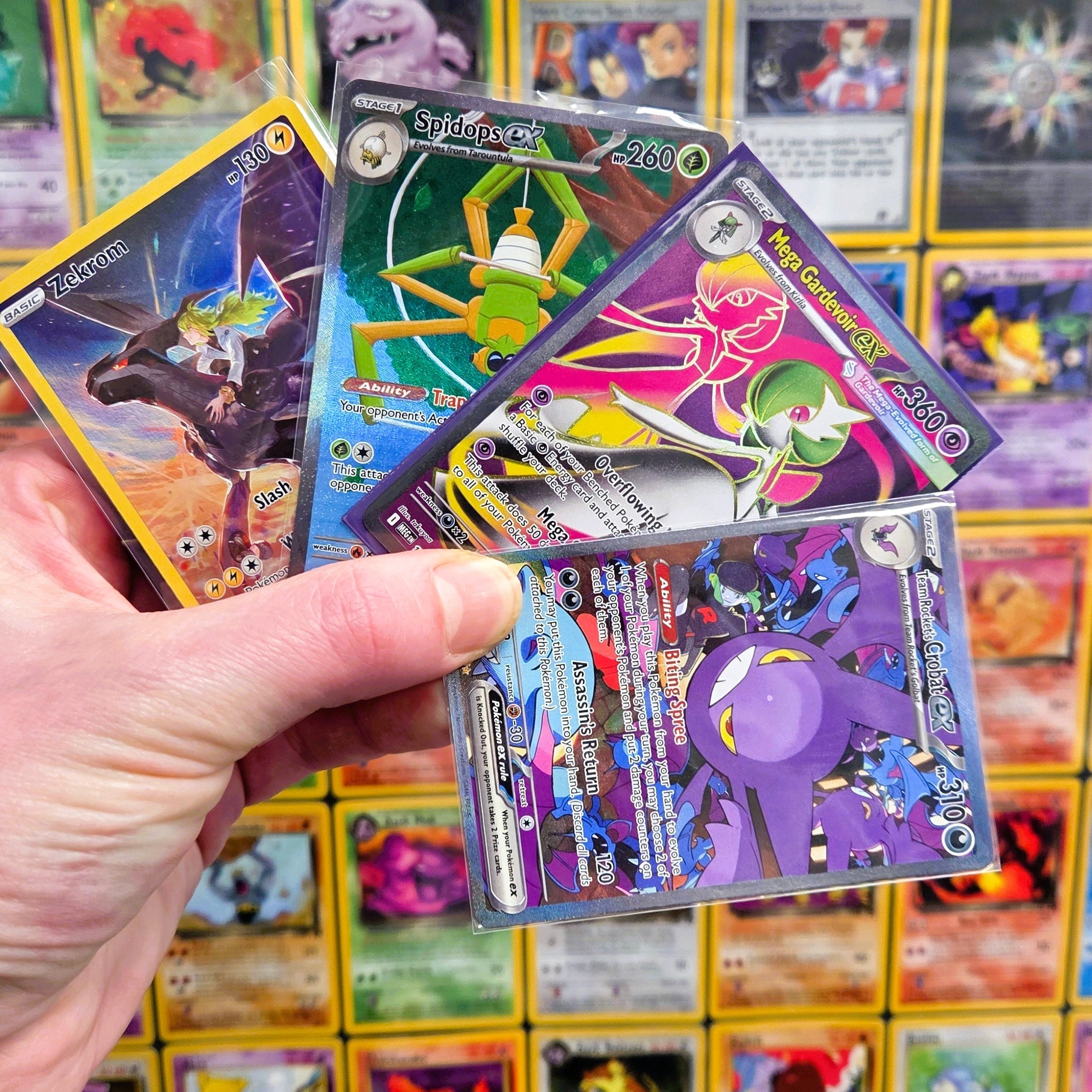 New In – Page 2 – Collection Mania