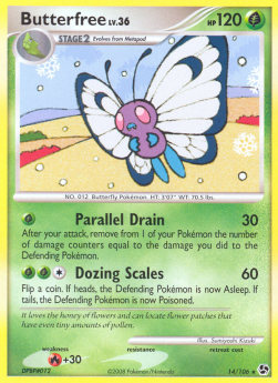 IT Butterfree Lv.36 (GE 14)