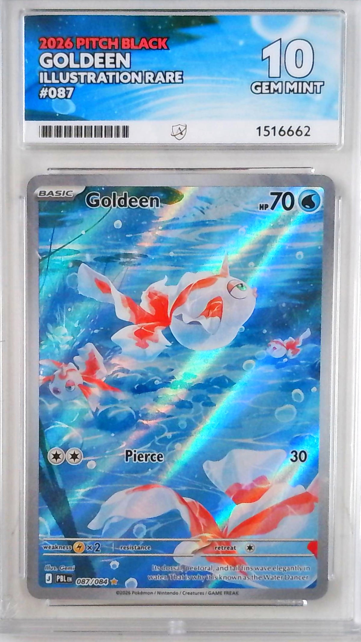Goldeen (PBL 087) - ACE 10
