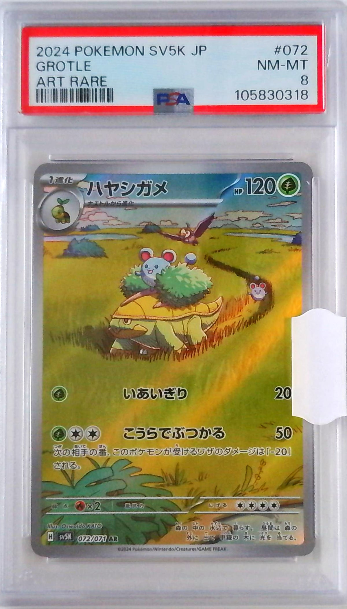 JP Grotle (sv5K 072) - PSA 8