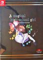 A Magical High-School Girl