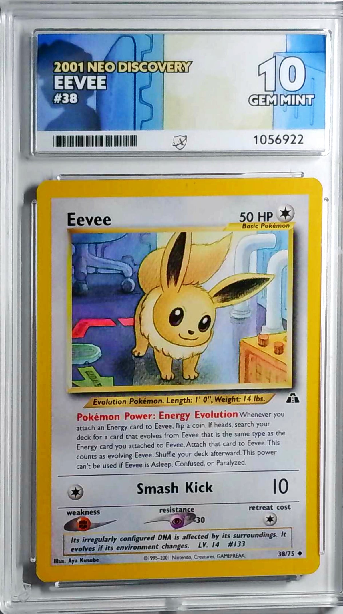 Eevee (NDI 38) - ACE 10